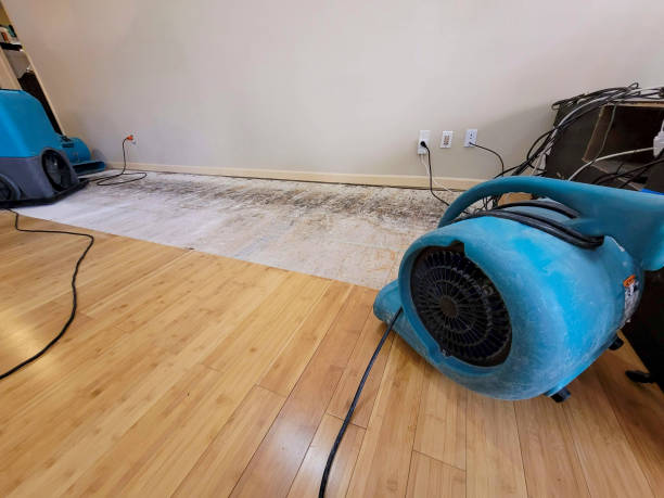 Professional Flood Damage Cleanup technician working in Pierce, TX